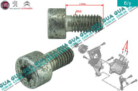 Болт / винт крепления редукционного клапана топливного насоса высокого давления ТНВД ( М5x0.8х10 ) 1шт