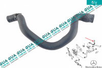 Патрубок / трубка системы охлаждения ( к водяному насосу )