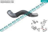 Патрубок / шланг системы охлаждения ( трубка  масляного радиатора / теплообменника )