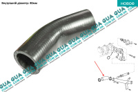 Патрубок / шланг системы охлаждения ( трубка )