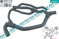 Патрубок  радиатора нижний / шланг системы охлаждения ( трубка / паук )