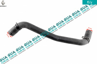 Патрубок / шланг системы охлаждения  / трубка радиатора 