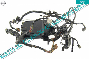 Электропроводка двигателя ( проводка моторная )   