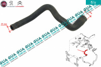 Патрубок / шланг системы охлаждения ( трубка от радиатора к термостату )