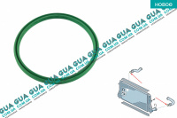 Кольцо уплотнительное патрубка интеркулера D53.95mm