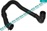 Патрубок интеркулера ( радиатор - дроссельная заслонка )