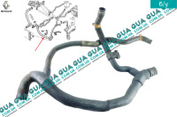 Патрубок / шланг системы охлаждения ( трубка радиатора нижняя / паук )