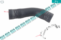 Патрубок / шланг системы охлаждения ( трубка )