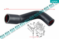 Патрубок вентиляции картерных газов ( шланг, трубка cапуна )