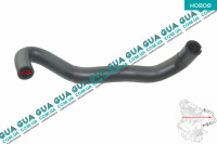 Патрубок вентиляции картерных газов / сапун ( шланг, трубка )