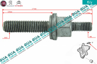 Болт / винт крепления подвесного подшипника полуоси правой 1шт