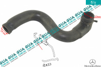 Патрубок / шланг системы охлаждения ( трубка )