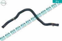 Патрубок / шланг системы охлаждения ( трубка от расширительного бачка к дресселю )