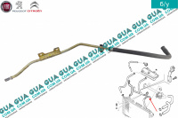 Патрубок / шланг системы охлаждения ( трубка )