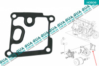 Прокладка корпуса масляного фильтра ( теплообменника ) Ford / ФОРД FOCUS II 2004-2011 / ФОКУС 2 1.8DI (1753 куб.см.)