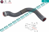 Патрубок / трубка интеркулера ( радиатор - дроcсельная заслонка )