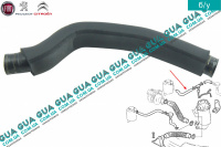 Патрубок вентиляции картерных газов ( шланг, трубка cапуна )