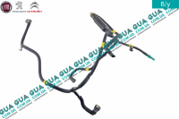 Патрубок топливной системы ( трубка с подкачкой )