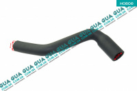 Патрубок вентиляции картерных газов ( трубка / шланг сапуна ) ( XUD )