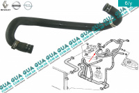 Патрубок / шланг системы охлаждения ( трубка )