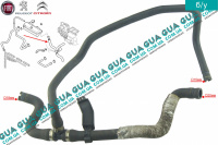 Патрубок / шланг системы охлаждения ( трубка расширительного бачка )