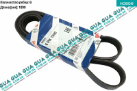 Ремень генератора ручейковый 6PK1890 Ford / ФОРД FOCUS I 1998-2004 / ФОКУС 1 98-04 1.6 V16 (1596 куб. см.)
