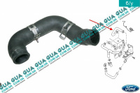 Трубка отвода картерных газов ( патрубок вентиляции картера ) Ford / ФОРД FOCUS II 2004-2011 / ФОКУС 2 1.8DI (1753 куб.см.)