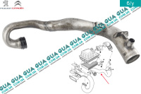 Патрубок ( трубка ) интеркулера