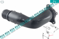 Патрубок / трубка интеркулера ( от интеркулера к впускному коллектору ) 