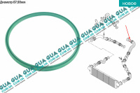 Кольцо уплотнительное патрубка интеркулера D67.90mm