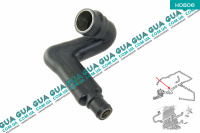 Патрубок вентиляции картерных газов / сапун ( шланг, трубка )