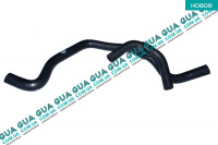 Патрубок / трубка системы охлаждения ( шланг от масляного радиатора-флянеца )