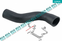 Патрубок интеркулера верхний ( от радиатора к коллектору )