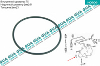 Сальник / уплотнительное кольцо / прокладка топливного насоса високого давления ТНВД