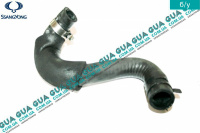 Патрубок / шланг системы охлаждения ( трубка теплообменника / масляного радиатора )