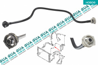 Патрубок / шланг системы охлаждения ( трубка расширительного  бачка )