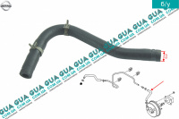 Шланг / патрубок вакуумной системы ( трубка )