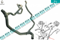 Патрубок  радиатора нижний / шланг системы охлаждения ( трубка )