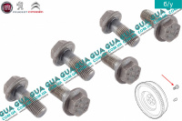 Болт / винт крепления маховика сцепления M12X29 ( комплект 6 шт. )